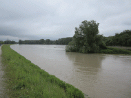 Innauen Richtung Erlach