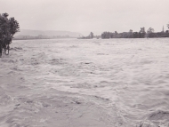 Inn-Hochwasser 1954 (Familienarchiv Lehner)